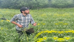 Learn about soil secrets with Joel Williams in our recent podcasts and YouTube videos